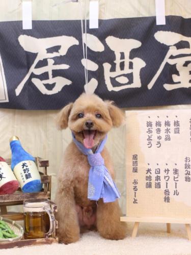 20240612チップくん